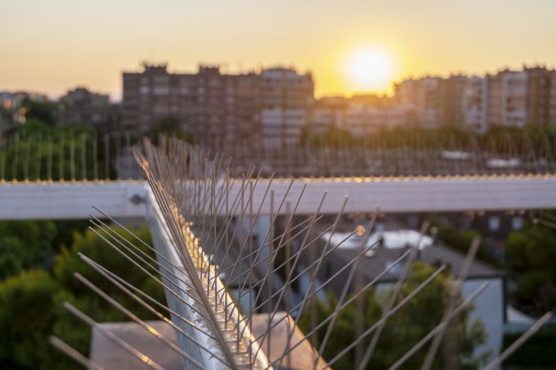Bird Spikes Installation Costs — Cost of Bird Spikes Installation