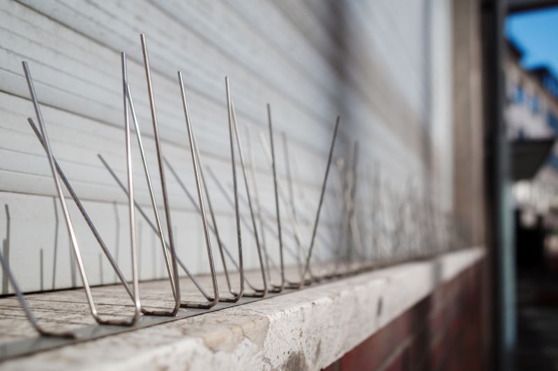 Commercial Bird Spike Solutions