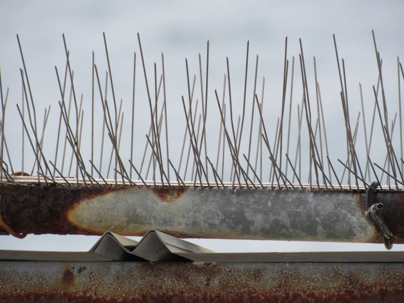 Preparation for Seasons