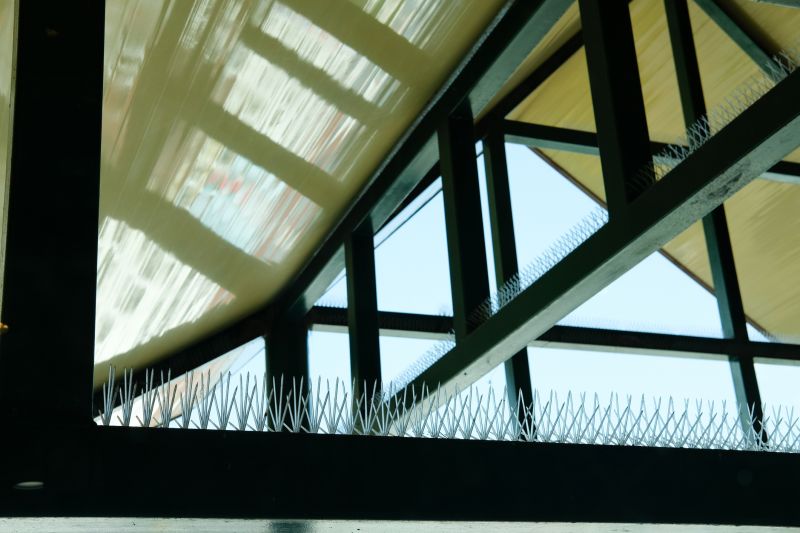 Professional Bird Spike Installation