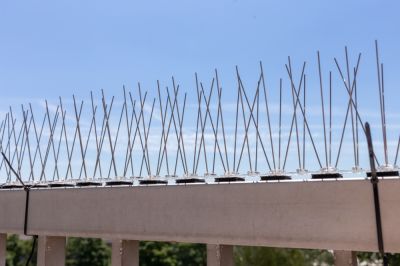 Prevent Birds from Nesting, Perching, or Roosting on Your Property with Bird Spikes Installation!